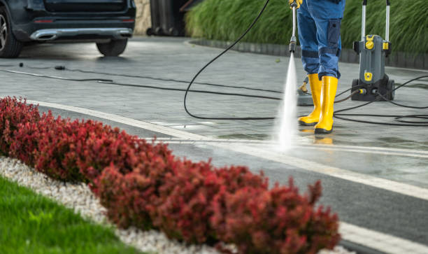 Best Driveway Pressure Washing  in Richlandtown, PA